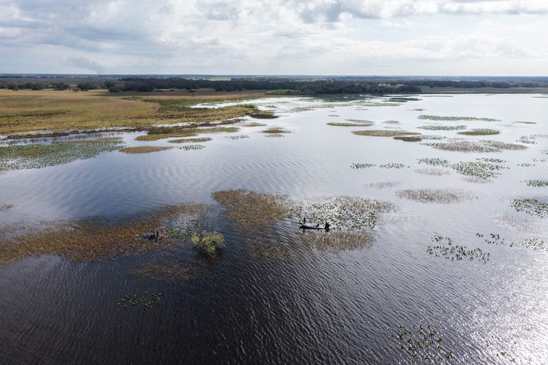 Aerial view of Lake Kissimmee grass flats and hydrilla beds